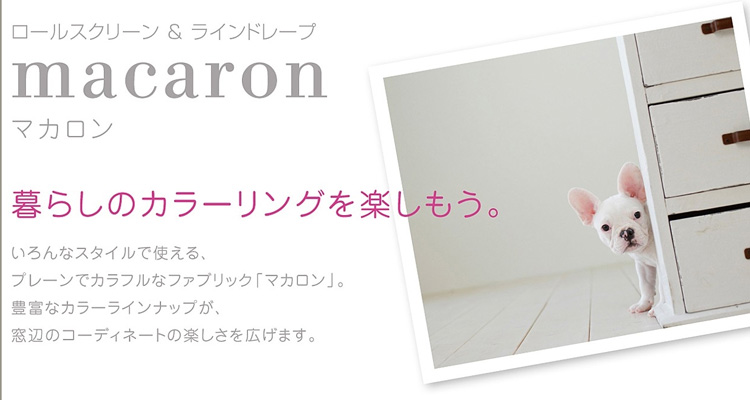 タチカワブラインド　ロールスクリーン・縦型ブラインド｢マカロン｣