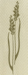 L-010