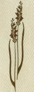 L-322