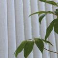 縦型ブラインド