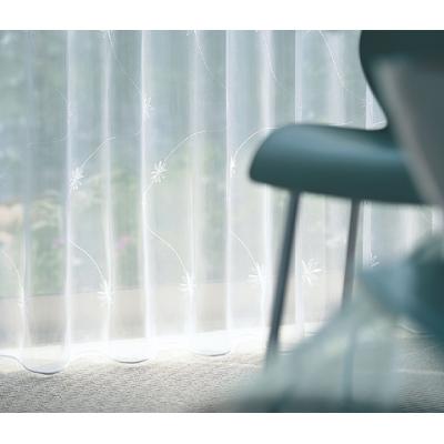 レッジェーロII 写真