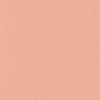 タルパ S(GD1159～1166） 写真