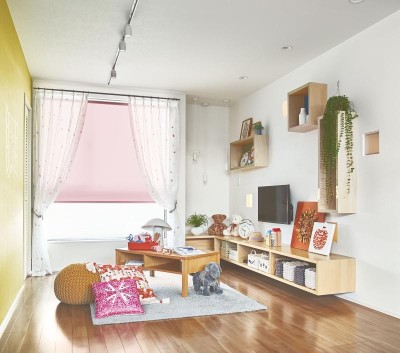 ニチベイ ロールスクリーン ポポラファン・標準タイプ(PN301～330) 写真
