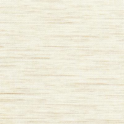TR オフホワイトシースルー   コルトシフォン TR～