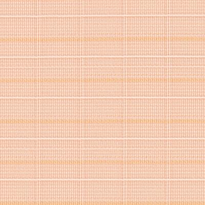 クリーブランド PK4020S~PK4023(ヨコ使い)Nサイズ〔メッシュなし〕 写真