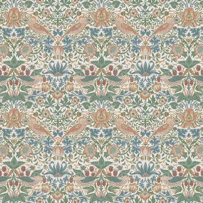 イチゴドロボウ MM3107 写真