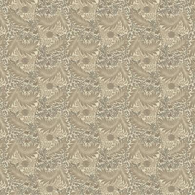 ラークスパー MM3119・3120 写真