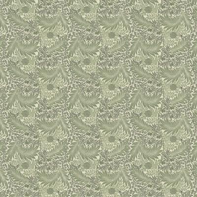 ラークスパー MM3119・3120 写真