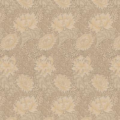 クリサンセマム MM3140-3142 写真