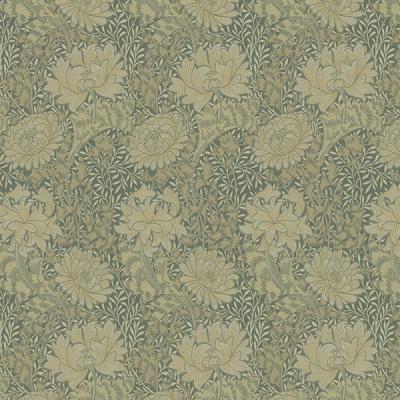 クリサンセマム MM3140-3142 写真