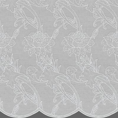 トレント MM3155(ヨコ使い) 写真