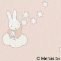 LC-22308 遮光2級