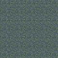 SH2883 (DG)