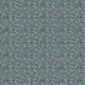 SH2884 (B)