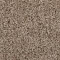 DWR-1493 