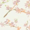 TKF11616 遮光2級
