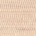 AC1029 