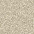 AC1243 AC1243