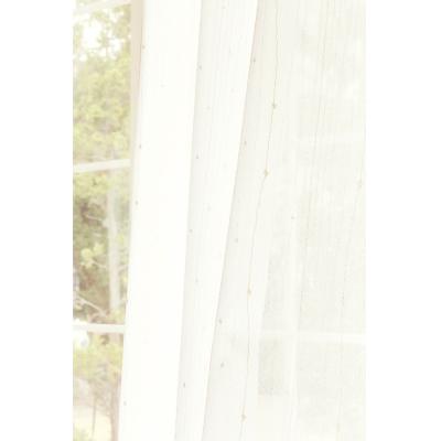 TKF11727 写真