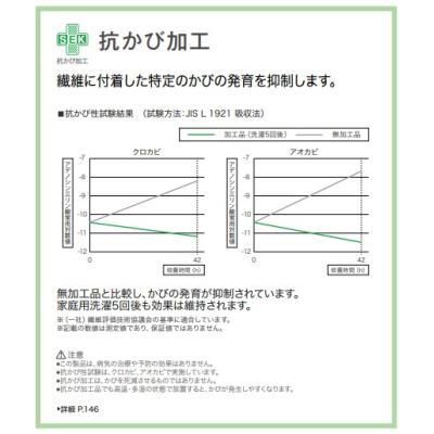 カプリ PK4559 写真