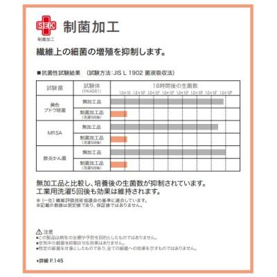キナイネ PK4561 写真