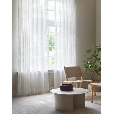 トレント MM3155(ヨコ使い) 写真