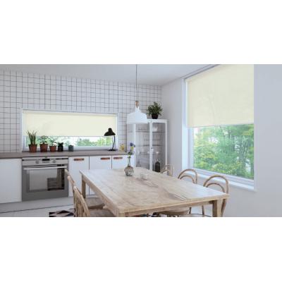 ココルン ベーシック/非ウォッシャブル(TR-1001～1030)［ダブルロールスクリーン］ 写真