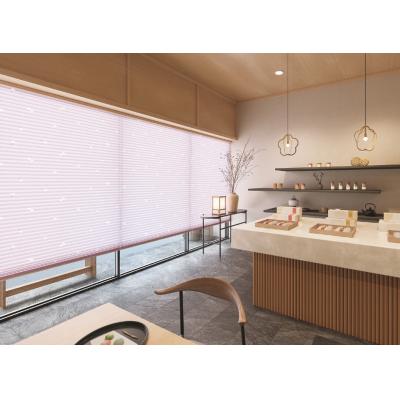 梅(PS-5005～5006) 写真