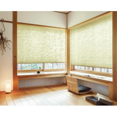 ミカゲ(PS-5013～5014) 写真