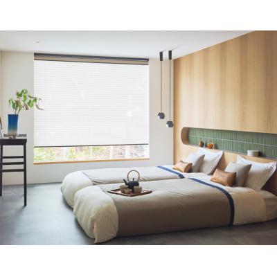 シフォン(PS-5418～5419) 写真