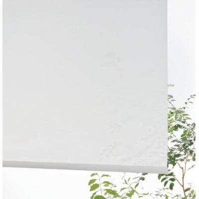 RS-1601