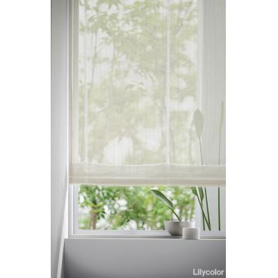 プレーンシェード 60-55036 