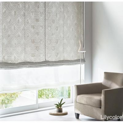 ダブルシェード(プレーン+プレーン) 65- 55053+55437