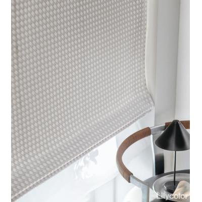 ダブルシェード（プレーン＋プレーン） 65- 55070＋55383