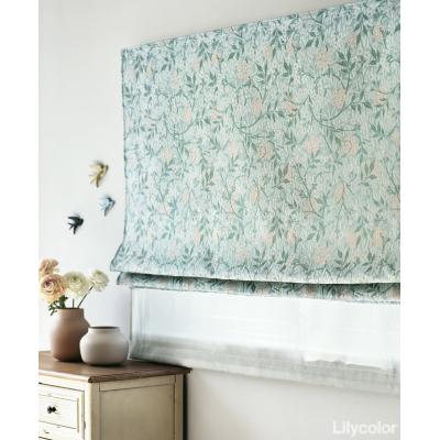 ダブルシェード（プレーン＋プレーン） 65- 55099＋ 55141