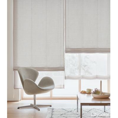 ダブルシェード（プレーン＋プレーン） 65- 55149＋55439