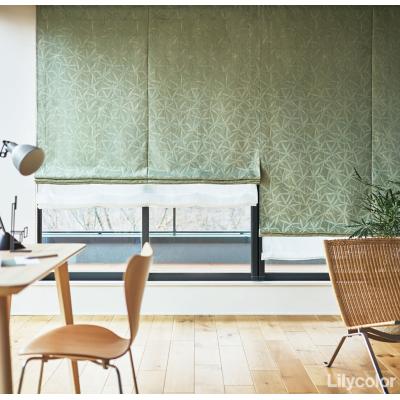 ダブルシェード(プレーン+プレーン) 65- 55190+ 55396