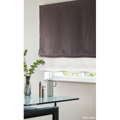 ダブルシェード（プレーン＋プレーン） 65- 55237＋55400